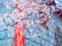 武汉铁兵科技有限公司