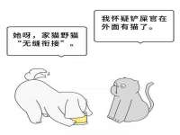 武汉铁兵科技有限公司