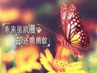 武汉铁兵科技有限公司
