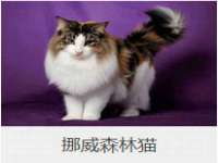 武汉铁兵科技有限公司