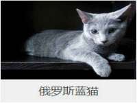 武汉铁兵科技有限公司