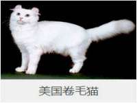 武汉铁兵科技有限公司