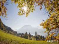 武汉铁兵科技有限公司