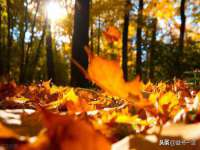 武汉铁兵科技有限公司