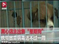 武汉铁兵科技有限公司