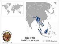 武汉铁兵科技有限公司