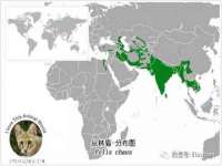 武汉铁兵科技有限公司