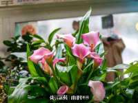 武汉铁兵科技有限公司