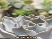 武汉铁兵科技有限公司