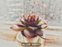 武汉铁兵科技有限公司