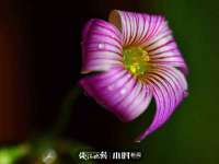 武汉铁兵科技有限公司