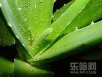 武汉铁兵科技有限公司