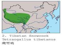 武汉铁兵科技有限公司