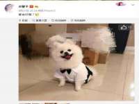 武汉铁兵科技有限公司