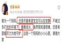 武汉铁兵科技有限公司
