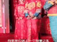 武汉铁兵科技有限公司