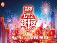 武汉铁兵科技有限公司