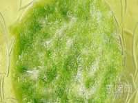 武汉铁兵科技有限公司