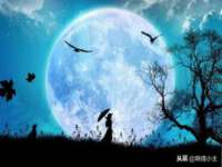 武汉铁兵科技有限公司