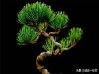武汉铁兵科技有限公司